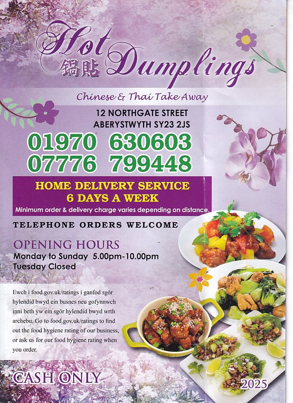 Hot Dumplings Aberystwyth